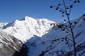 Salita invernale da Lizzola al Passo della Manina e al Monte Sasna con vento e tormenta di neve il 7 febbraio 2010 - FOTOGALLERY